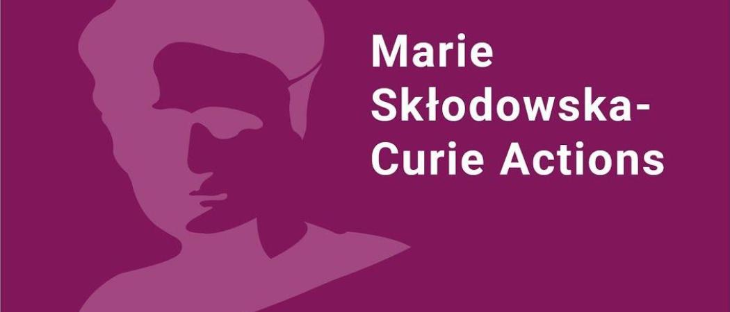 MSCA Doctoral Network grant for the ELLE project