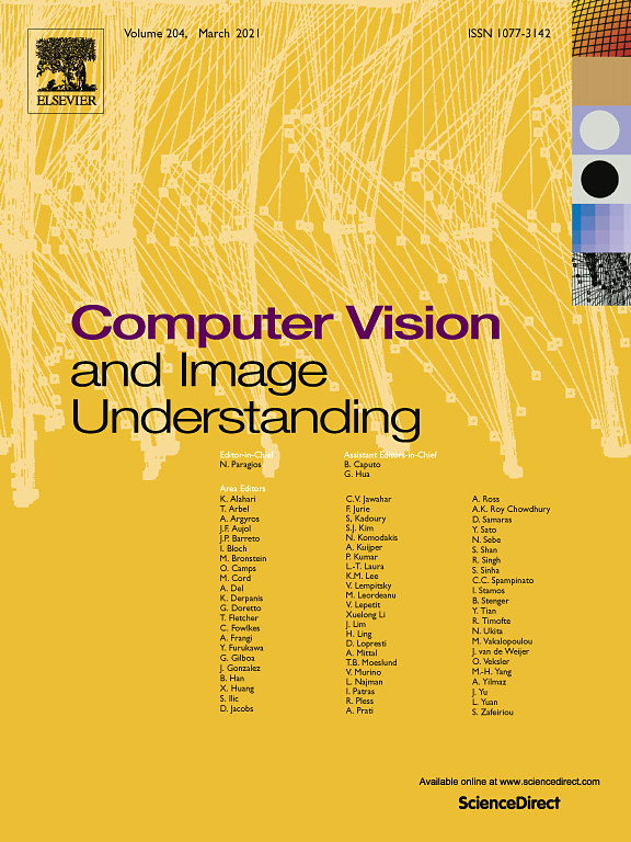 Paper accepted to Computer Vision and Image Understanding